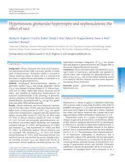 Hypertension, glomerular hypertrophy and nephrosclerosis: the