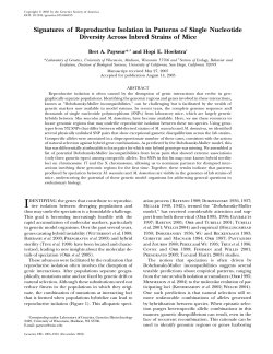 Signatures of Reproductive Isolation in Patterns of Single Nucleotide