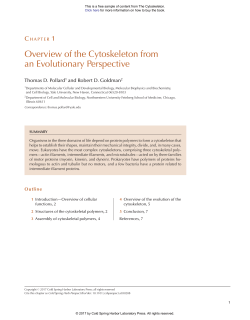 Overview of the Cytoskeleton from an Evolutionary
