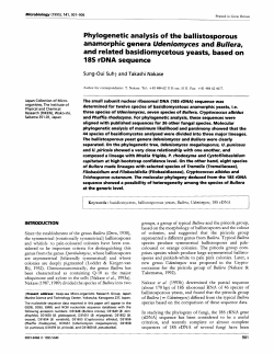 Phylogenetic analysis of the ballistosporous