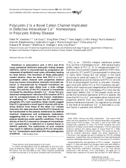 Polycystin-2 Is a Novel Cation Channel Implicated in Defective