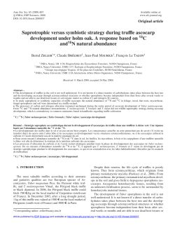 Saprotrophic versus symbiotic strategy during truffle ascocarp
