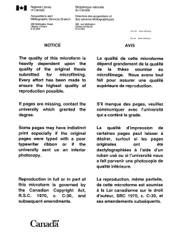 Opportunity and occupational crime : a case study of employee