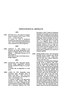 Hoeke], Stentor biting fly feeding habits.