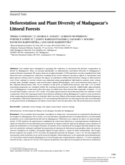 Deforestation and Plant Diversity of Madagascar`s Littoral Forests