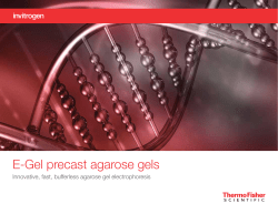 E-Gel precast agarose gels