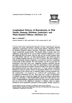 Longitudinal patterns of reproduction in wild female
