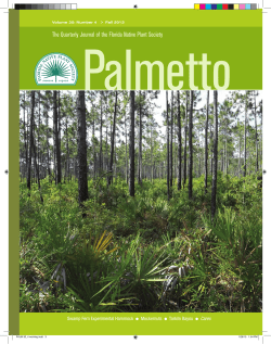PALM 30_4 working.indd - Florida Native Plant Society