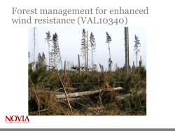 Forest management for enhanced wind resistance (VAL10340)