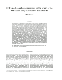 Manuscript for arXiv.fm