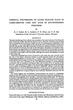 CHEMICAL WEATHERING OF LAYER SILICATE CLAYS IN LOESS
