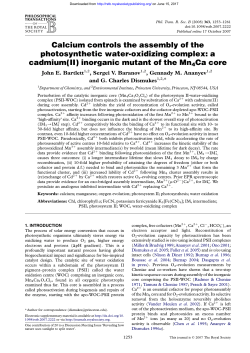 a cadmium(II) inorganic mutant of the Mn4Ca core
