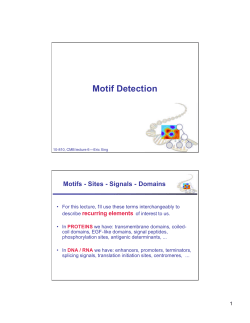 Motif Detection