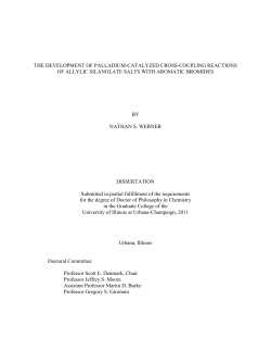 the development of palladium-catalyzed cross