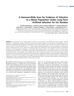A Genome-Wide Scan for Evidence of Selection in a Maize
