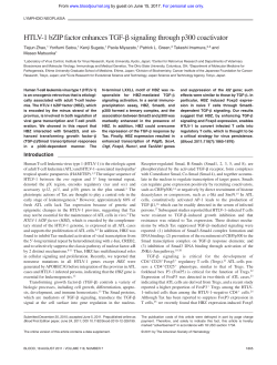 HTLV-1 bZIP factor enhances TGF- signaling through p300 coactivator