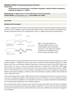 Development and characterisation of antibody