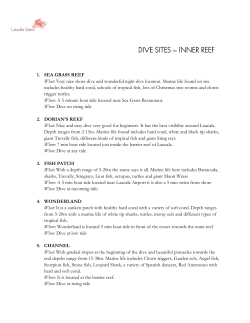 dive sites – inner reef