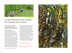 The Monarch Joint Venture - North American Butterfly Association
