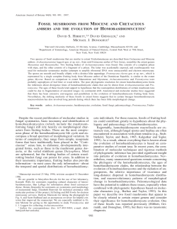 fossil mushrooms from miocene and cretaceous
