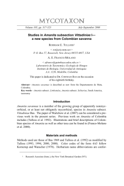 open - Amanitaceae.org