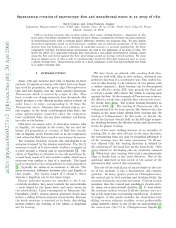 Spontaneous creation of macroscopic flow and metachronal waves