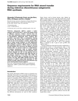 Sequence requirements for RNA strand transfer during nidovirus