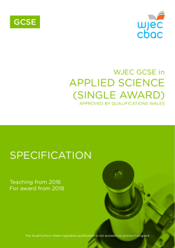 GCSE Specification Template