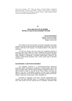 16 role and status of women within a plantation economy