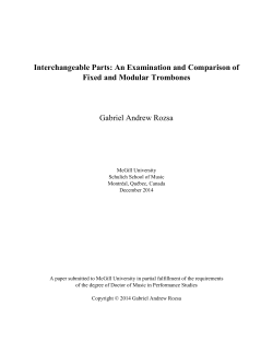 Interchangeable Parts: An Examination and