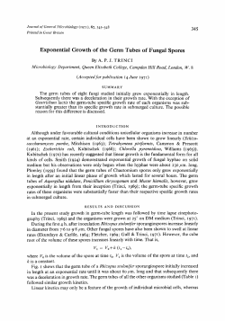 Exponential Growth of the Germ Tubes of Fungal