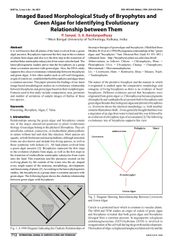 Imaged Based Morphological Study of Bryophytes and Green