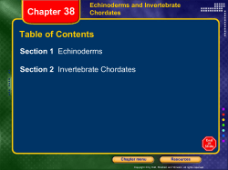 Echinoderms