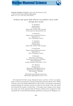 Evidence that sperm whale (Physeter macrocephalus)