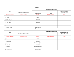 Round 1: Item Qualitative Observation Quantitative Observation