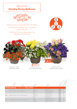 RED FOX Garden Party Balloons