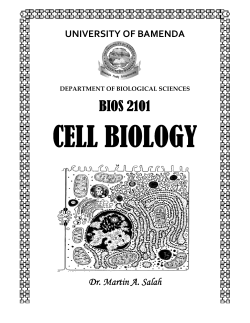 Chapter 0 - Dr. Salah A. Martin