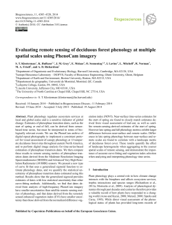 Evaluating remote sensing of deciduous forest