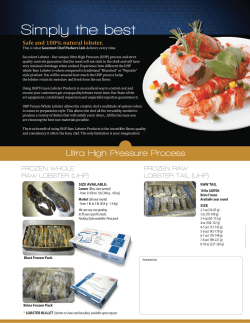 technical sheet - Gourmet Chef Packers