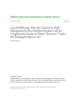 Gray Wolf Rising: Why the Clash Over Wolf Management in the