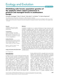 Hitchhiking with forests: population genetics of the epiphytic lichen