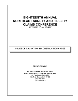 Issues of Causation in Construction Cases