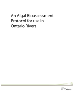 An Algal Bioassessment Protocol For Use In Ontario Rivers