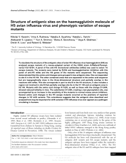 Structure of antigenic sites on the haemagglutinin molecule of H5