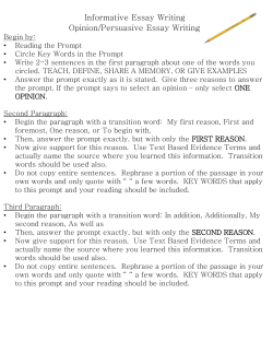 Informative Essay Writing Opinion/Persuasive Essay