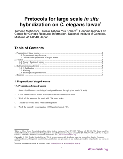 Protocols for large scale in situ hybridization on C