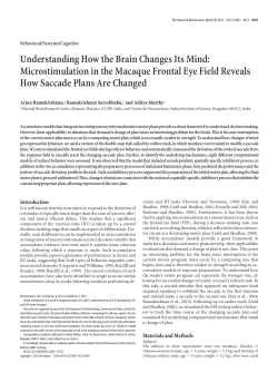 PDF - Centre for Neuroscience