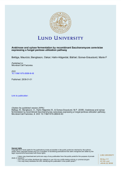 36 - Research Portal