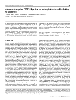 A dominant-negative ESCRT-III protein perturbs cytokinesis and