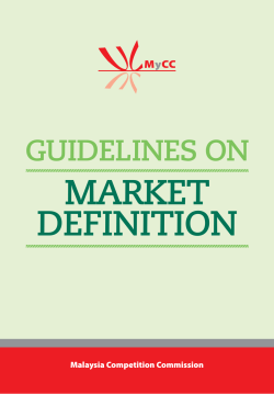 Guidelines on Market Definition